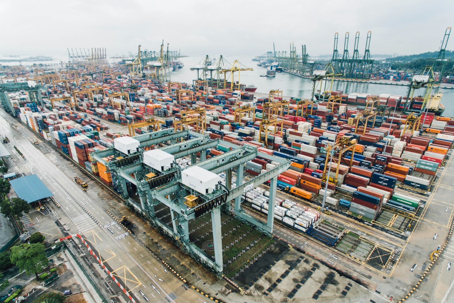 Wise Cargo Logistics